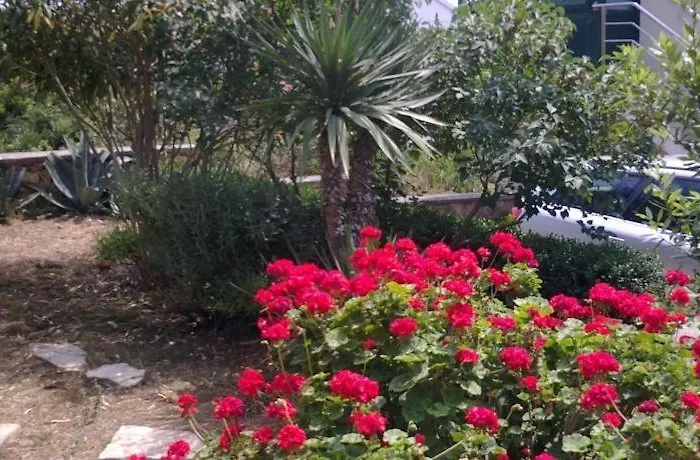 In With Sea View, Balcony, Air Conditioning, Wi-fi *